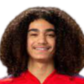 https://img.ylinns.com/img/football/player/87359ed9061cfd73513d827263deebcd.png